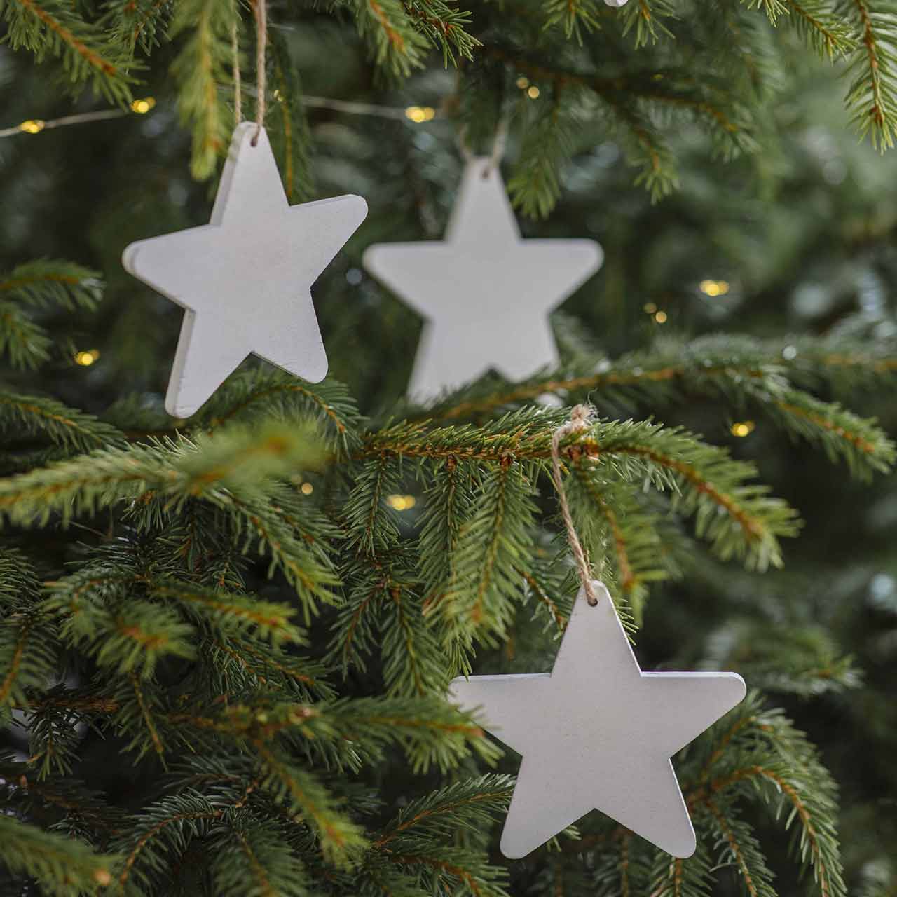 Christbaumsterne »Tilney« 4er Set