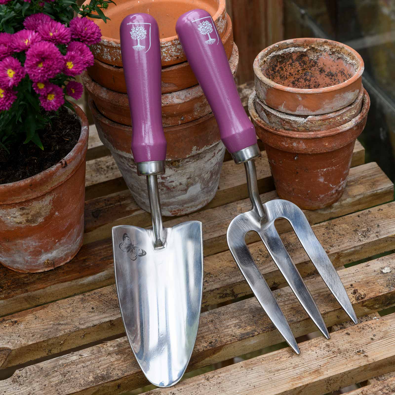 RHS-Geschenkset mit Handschaufel & Handgabel »Asteraceae«