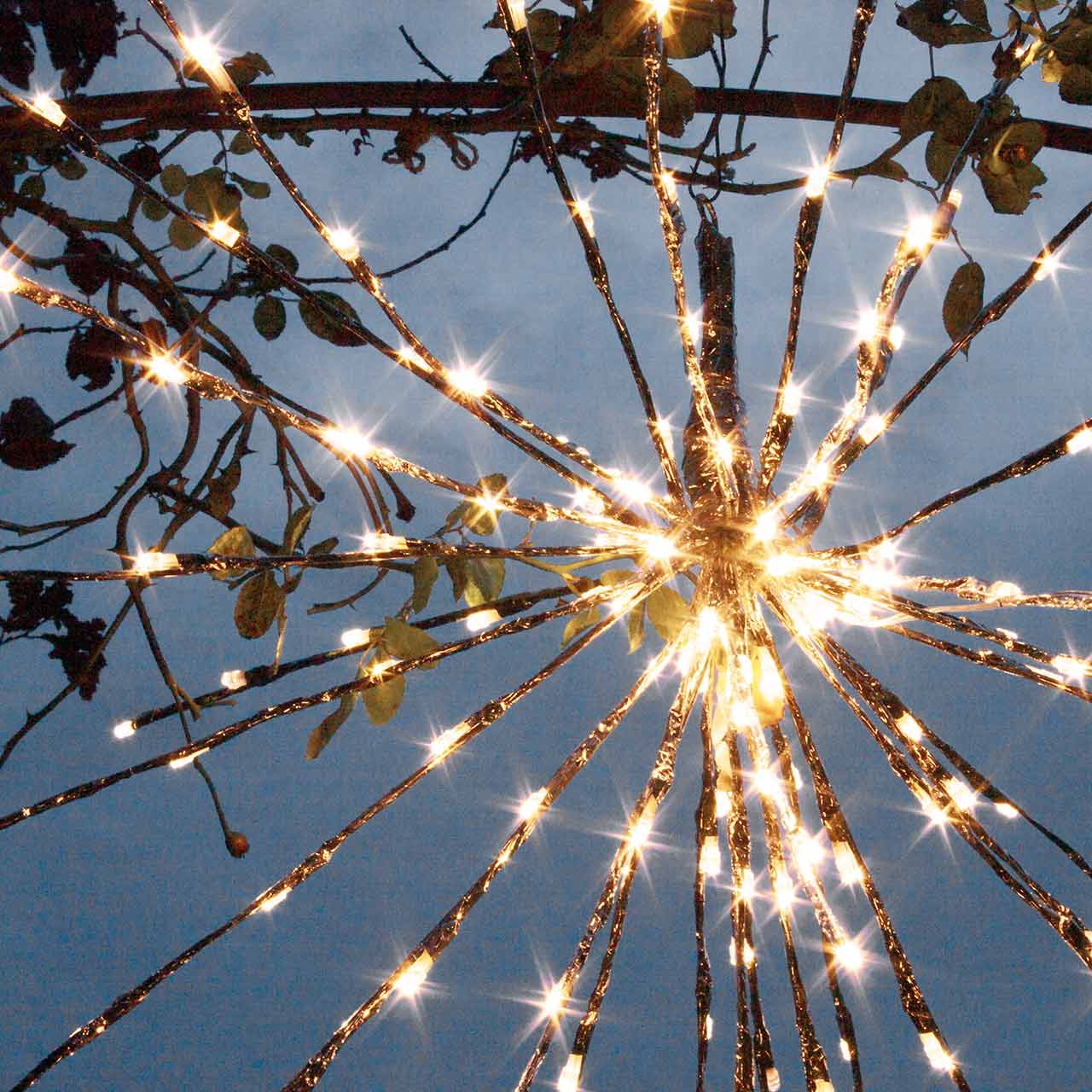 Leuchtstern »Allium«