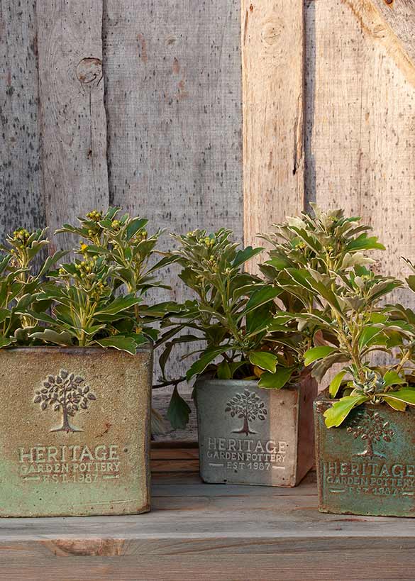 Pflanztöpfe Rustic Square