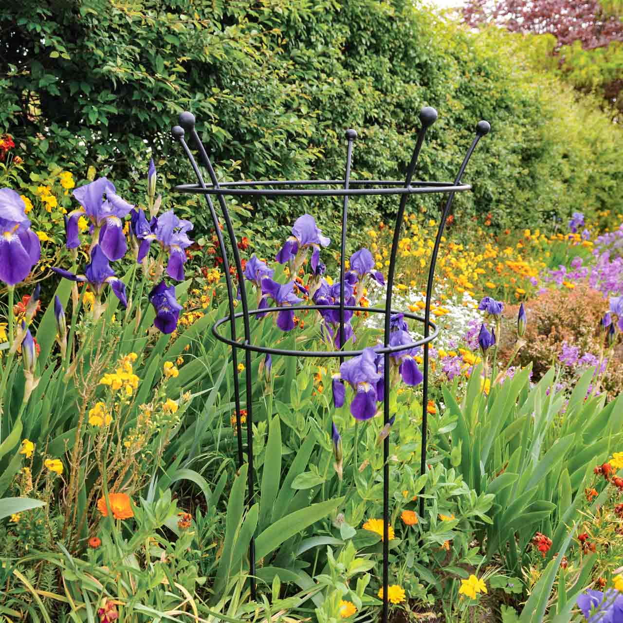 Staudenhalter Metall