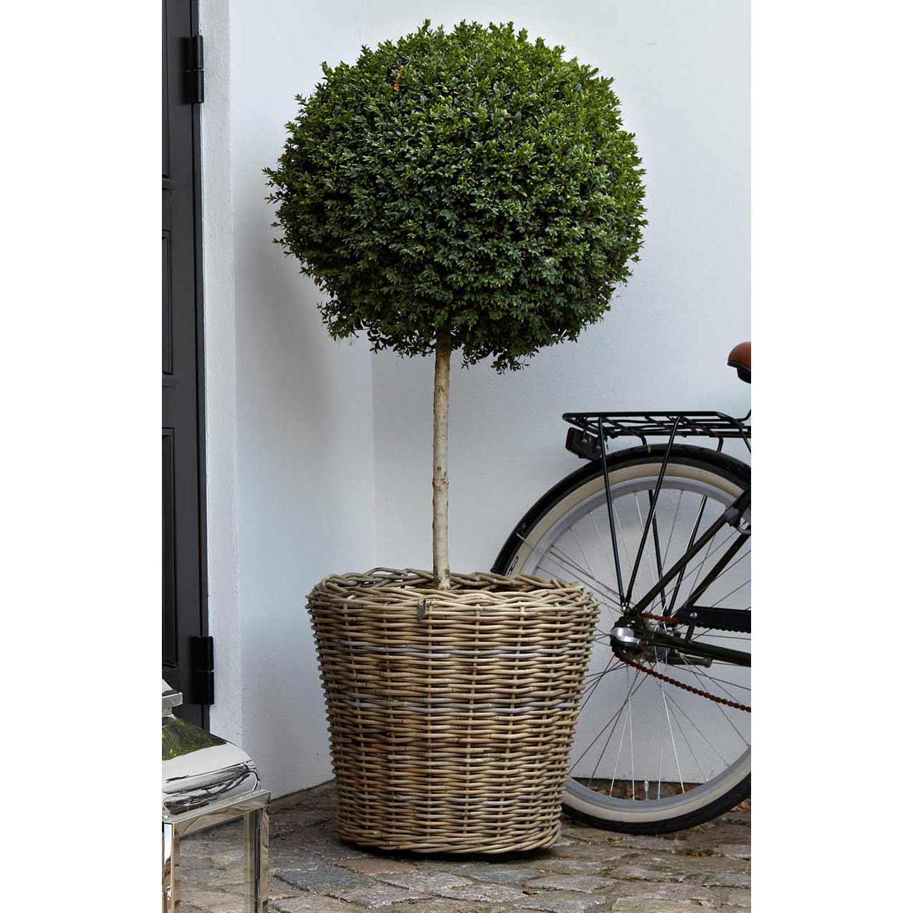 Pflanzkübel »Daventry«