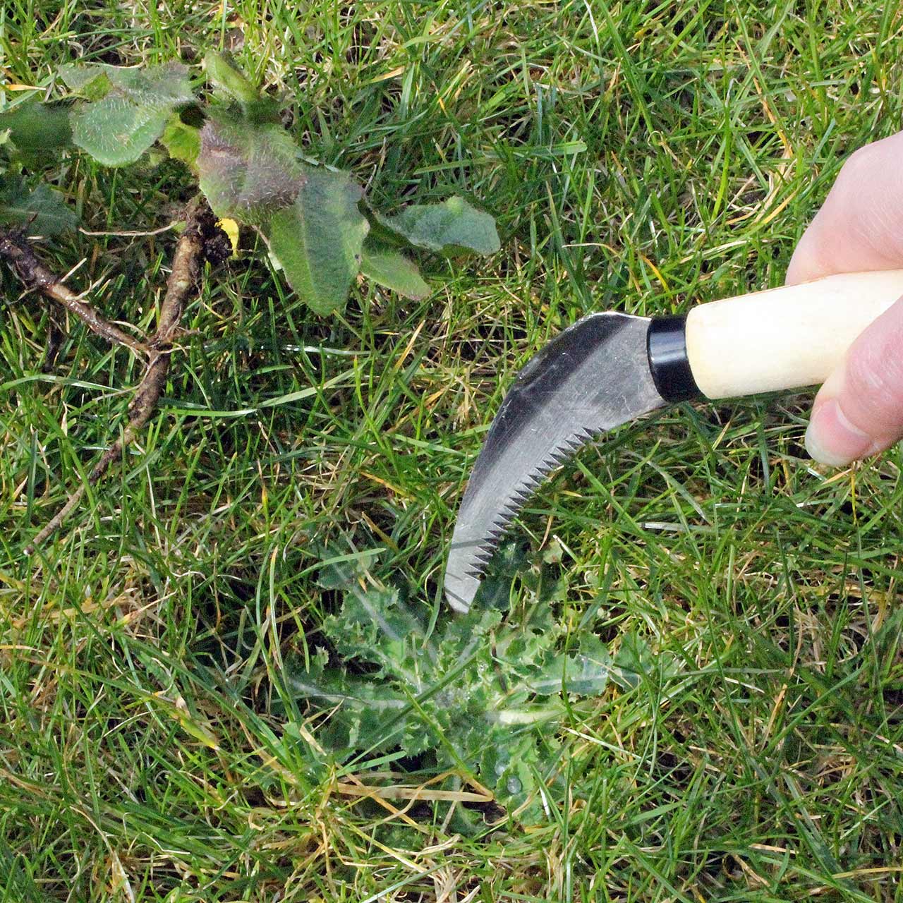 Bodenmesser (Rasenmesser)