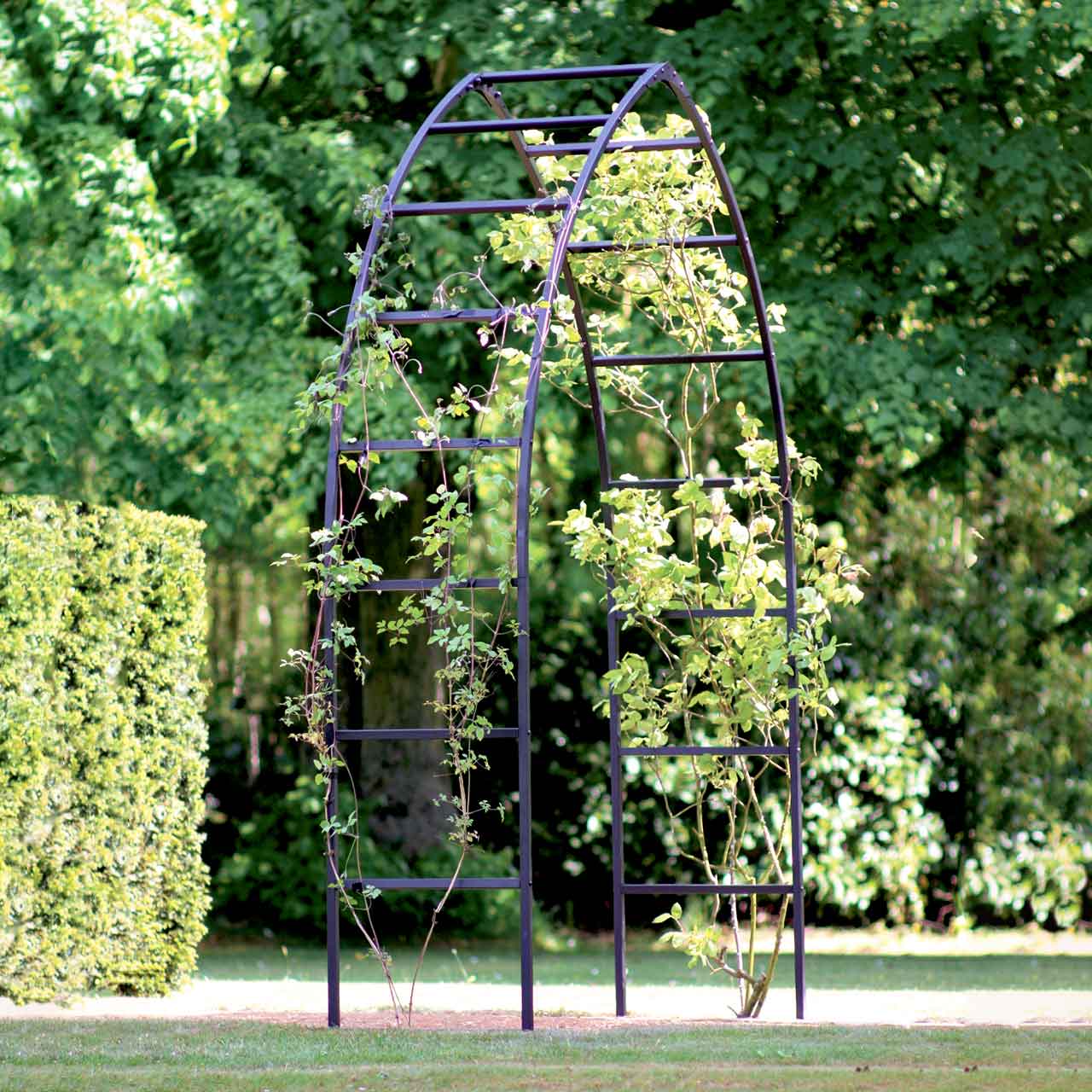 Rosenbogen »Traditional Gothic«