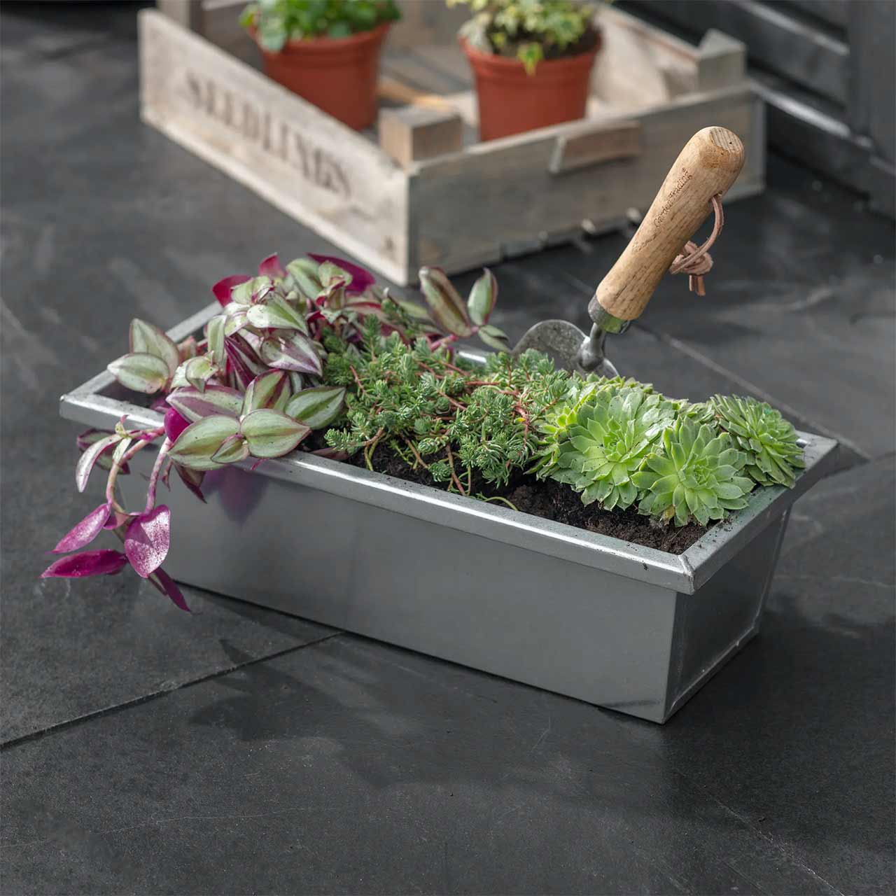 Blumenkasten »Steel Trough« | (L)60 cm x (B)17 cm x (H)12 cm