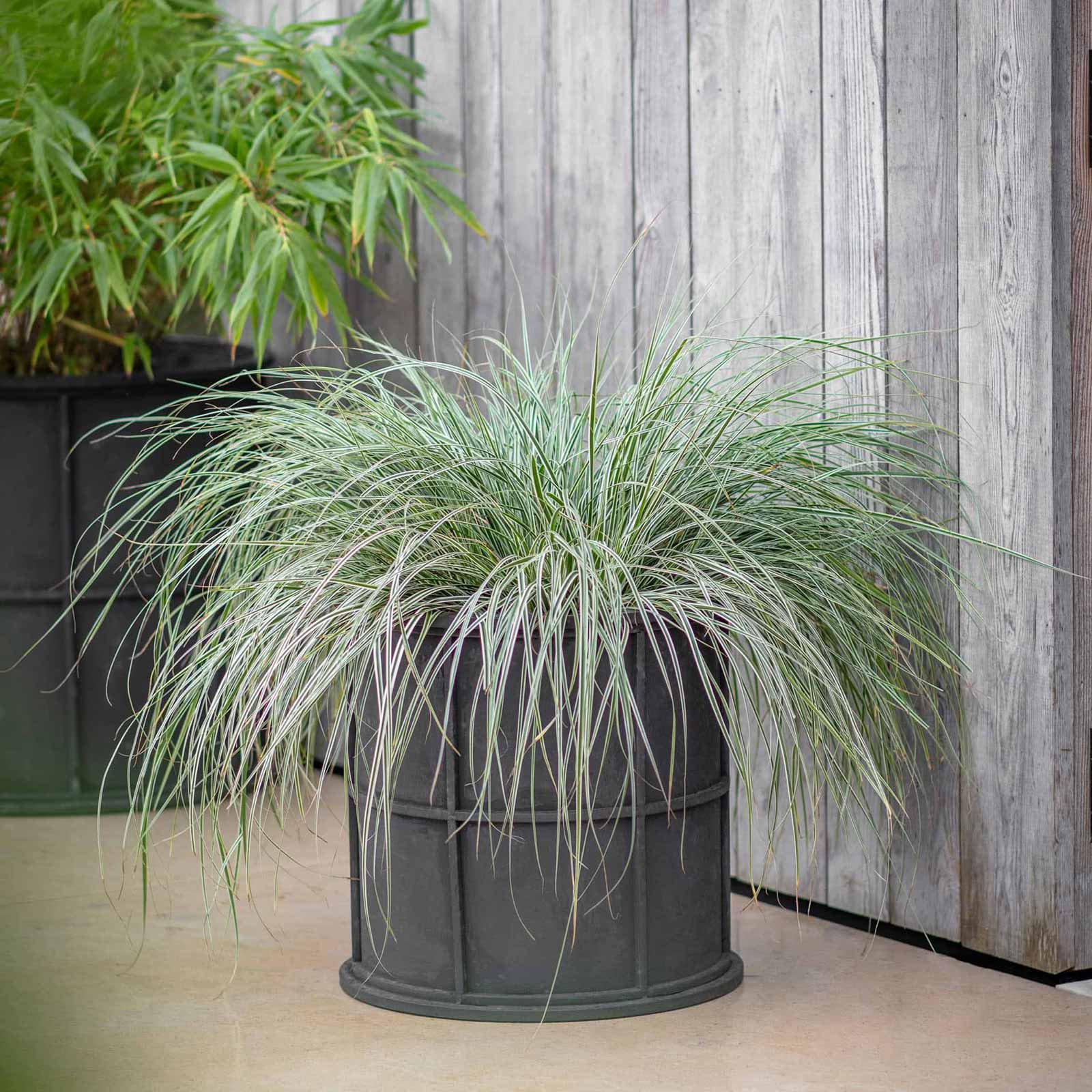 Ridgeway Pflanztöpfe