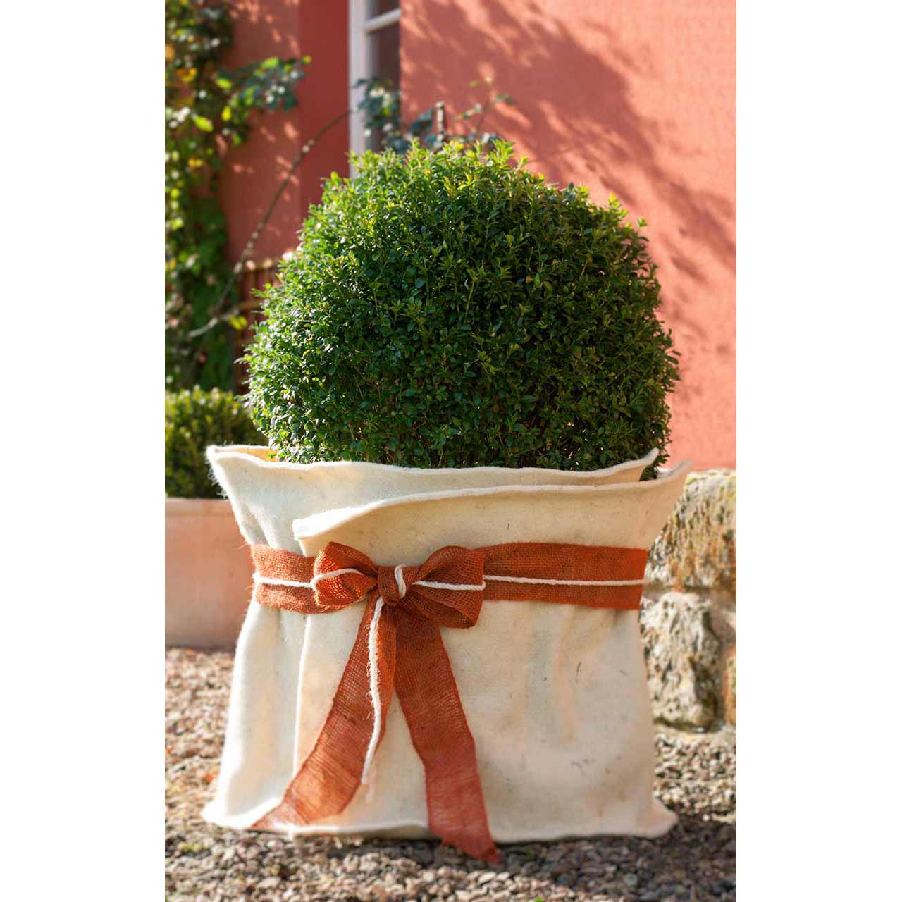 Winterschutzvlies aus Schafwolle