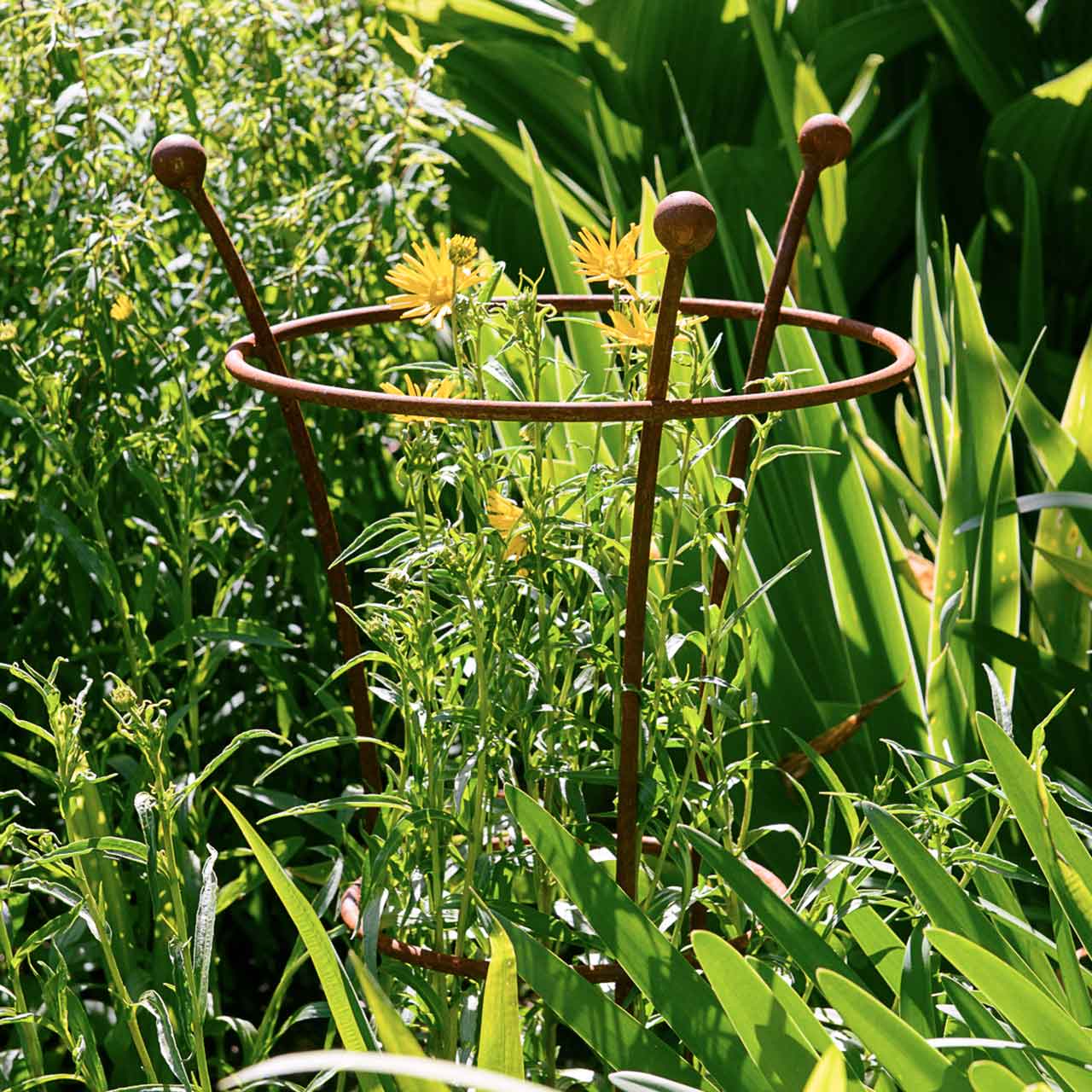 Staudenhalter »Trumpet Rust« | Ø30 cm | (H)60 cm