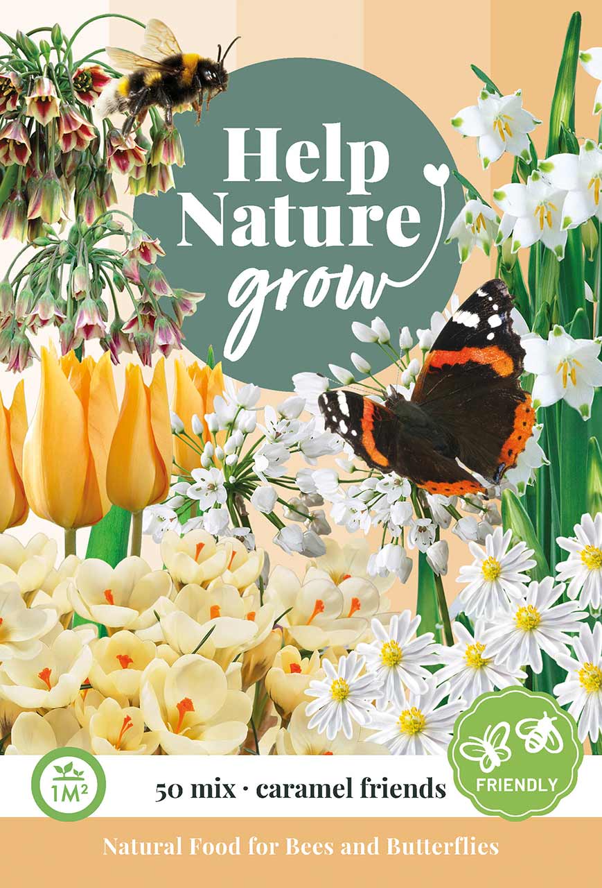 Zwiebelblumen Help Nature grow  - Caramel