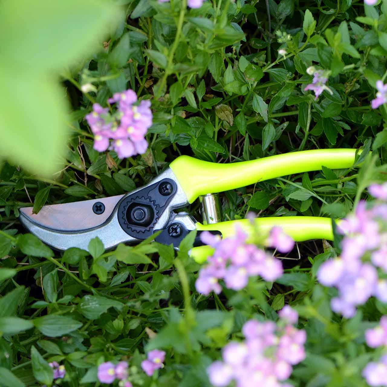 Gartenschere - FloraBrite "Gelb"