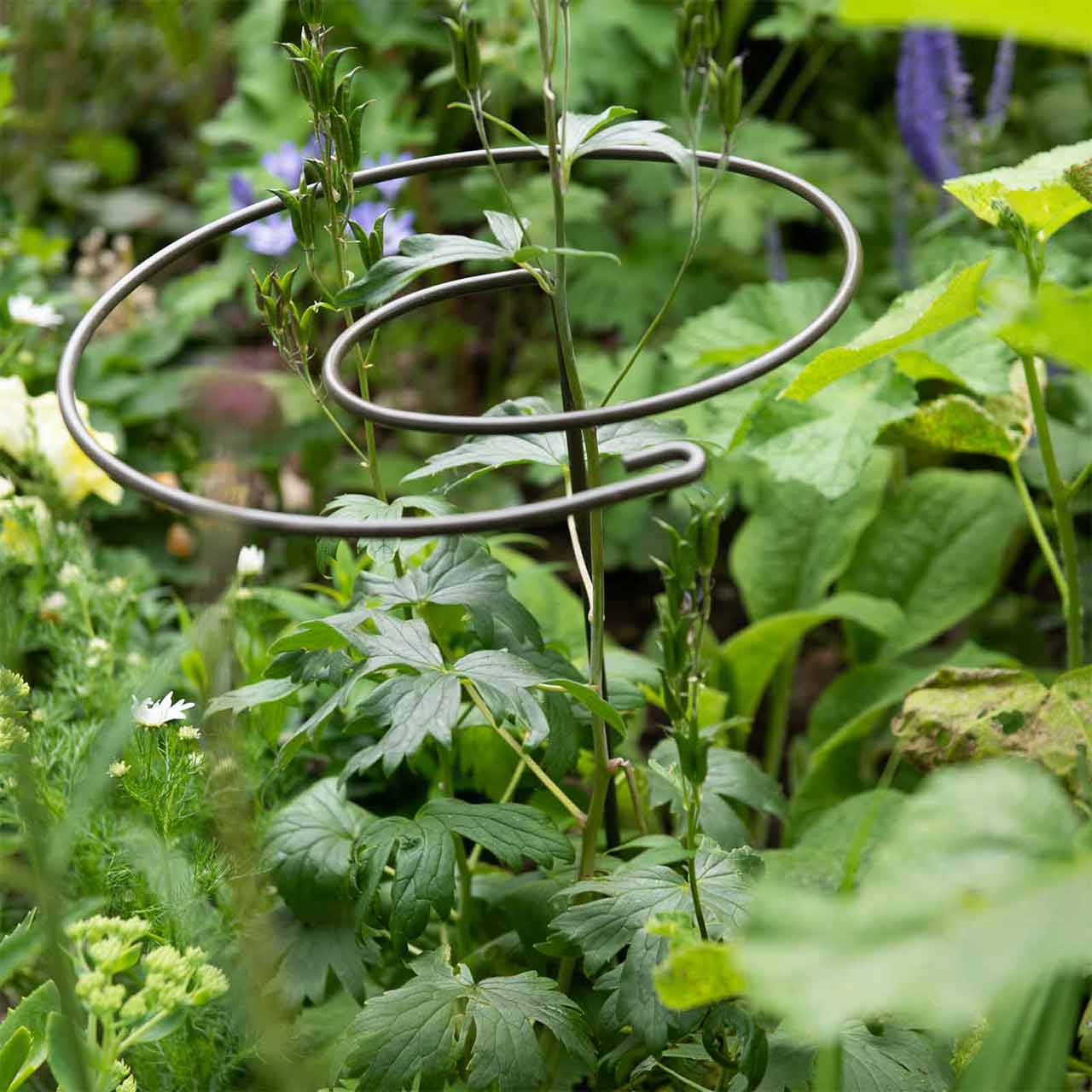 Pflanzenstützen Spirale