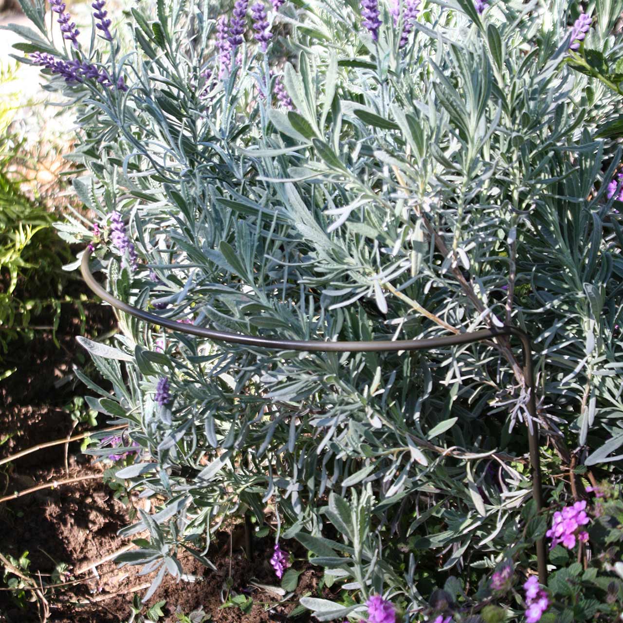 Pflanzenstützen »Border Restraints«