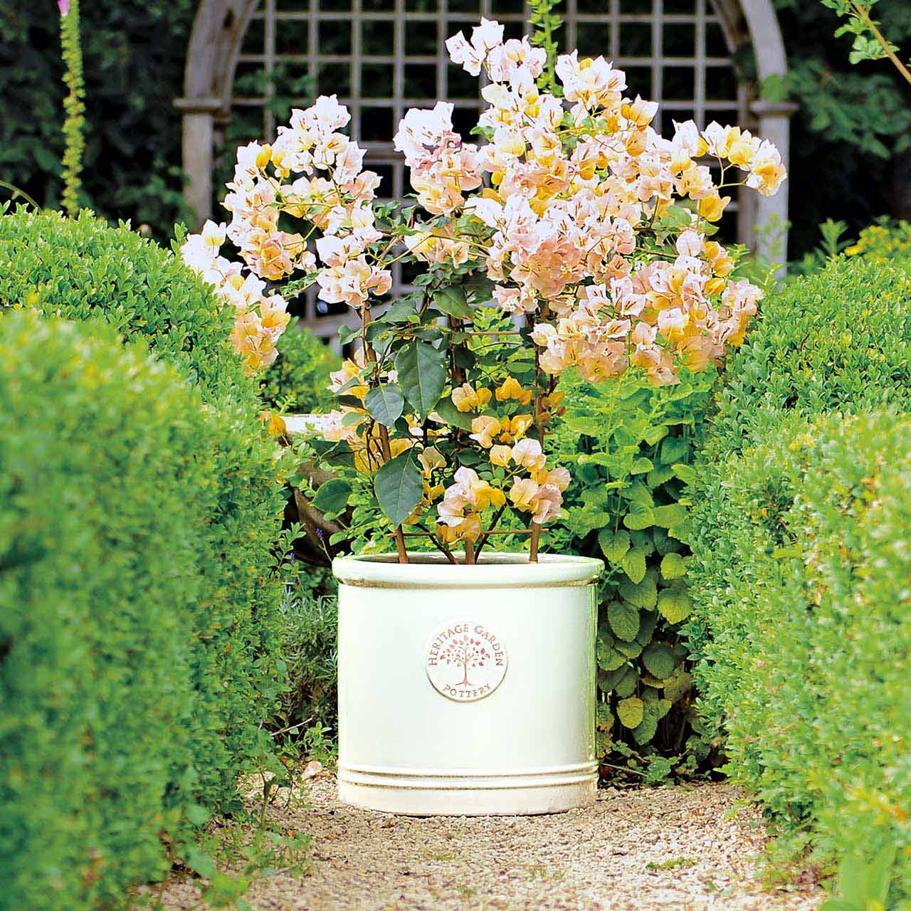 Pflanztopf Keramik rund