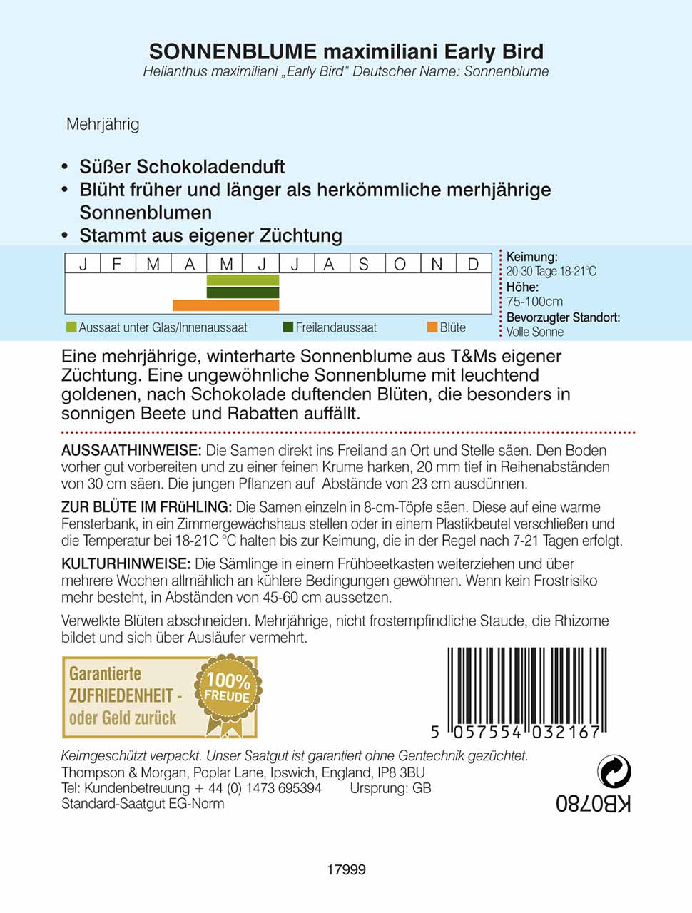 Sonnenblume maximiliani Early Bird