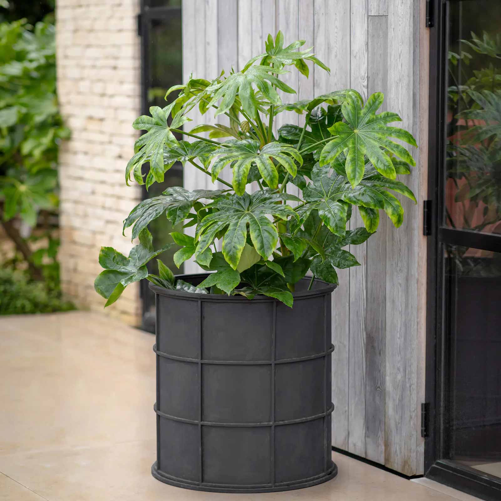 Ridgeway Pflanztöpfe