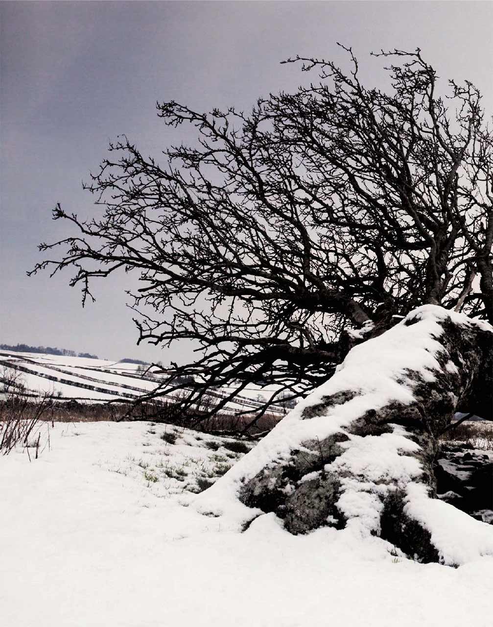 Country Jasper Conran