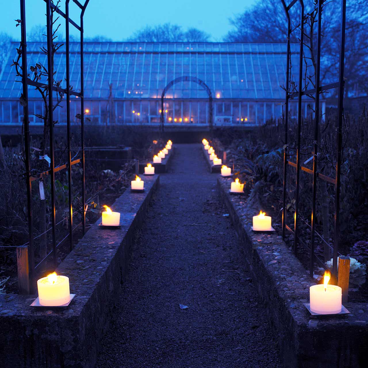 Kerzen für den Außenbereich