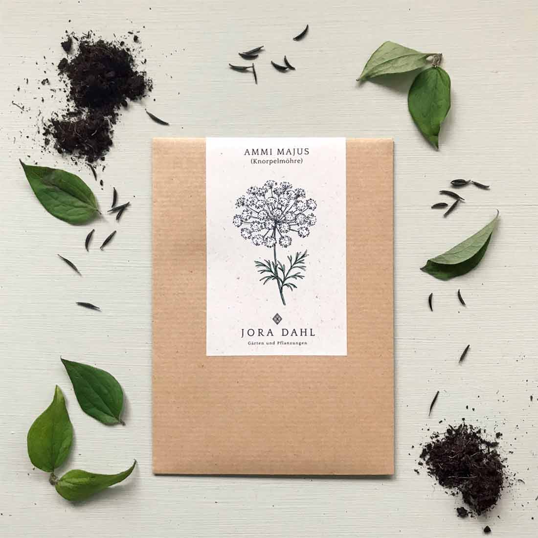 Blumensamen Ammi majus (Knorpelmöhre)