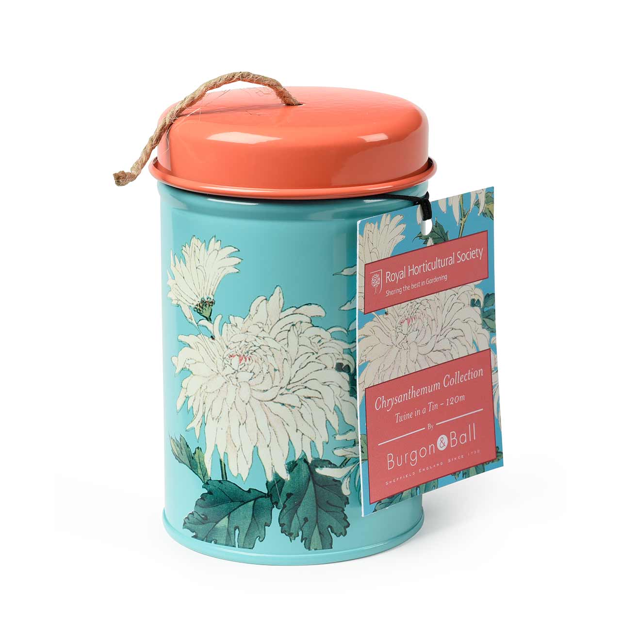 Gartenschnur »Chrysanthemum«