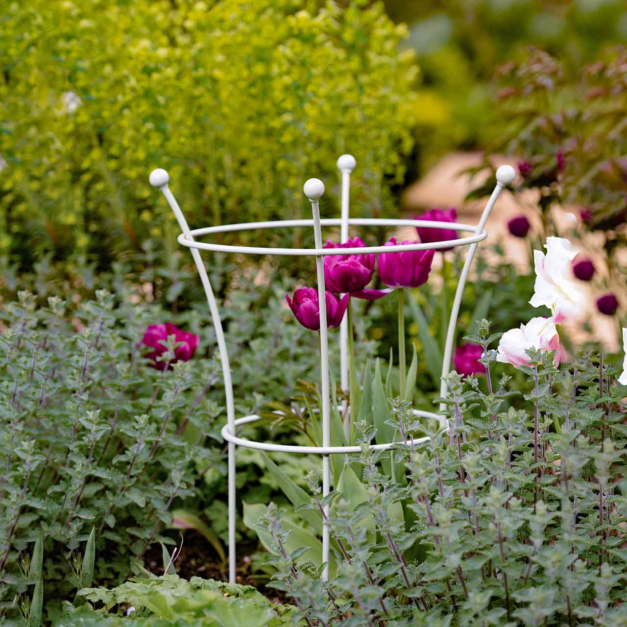 Staudenstütze »Silk Trumpet« | Ø40 cm | (H)60 cm