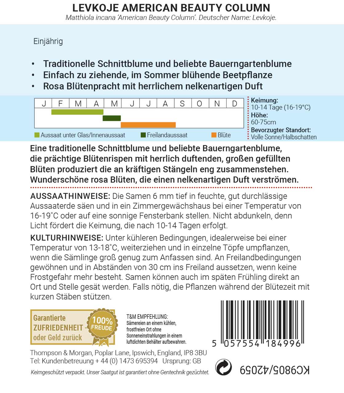 Levkoje American Beauty