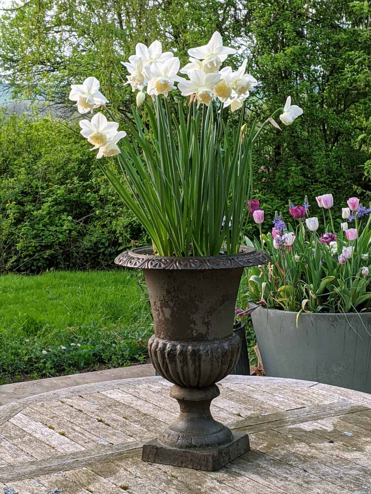 Französische Vase »French Classic«