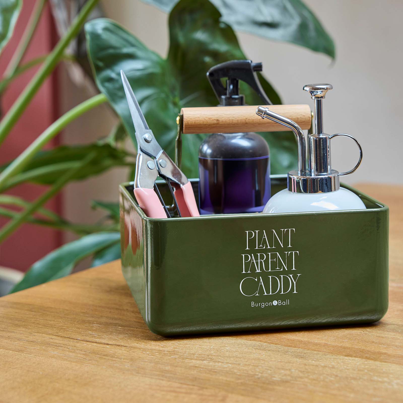 Indoor Caddy