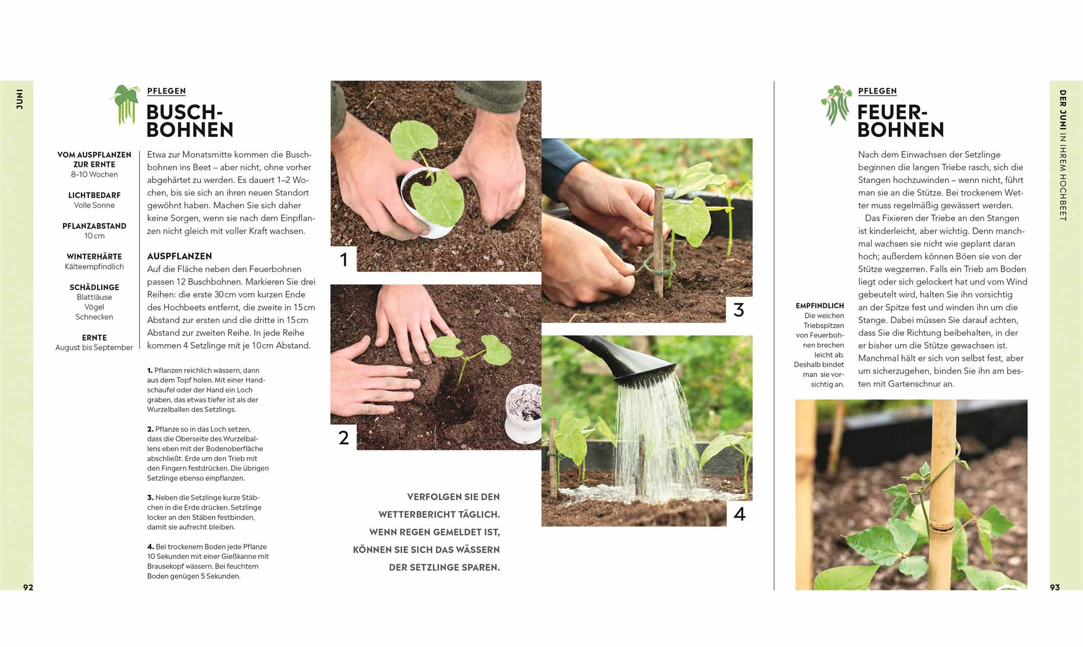 Hochbeet -  Huw Richards