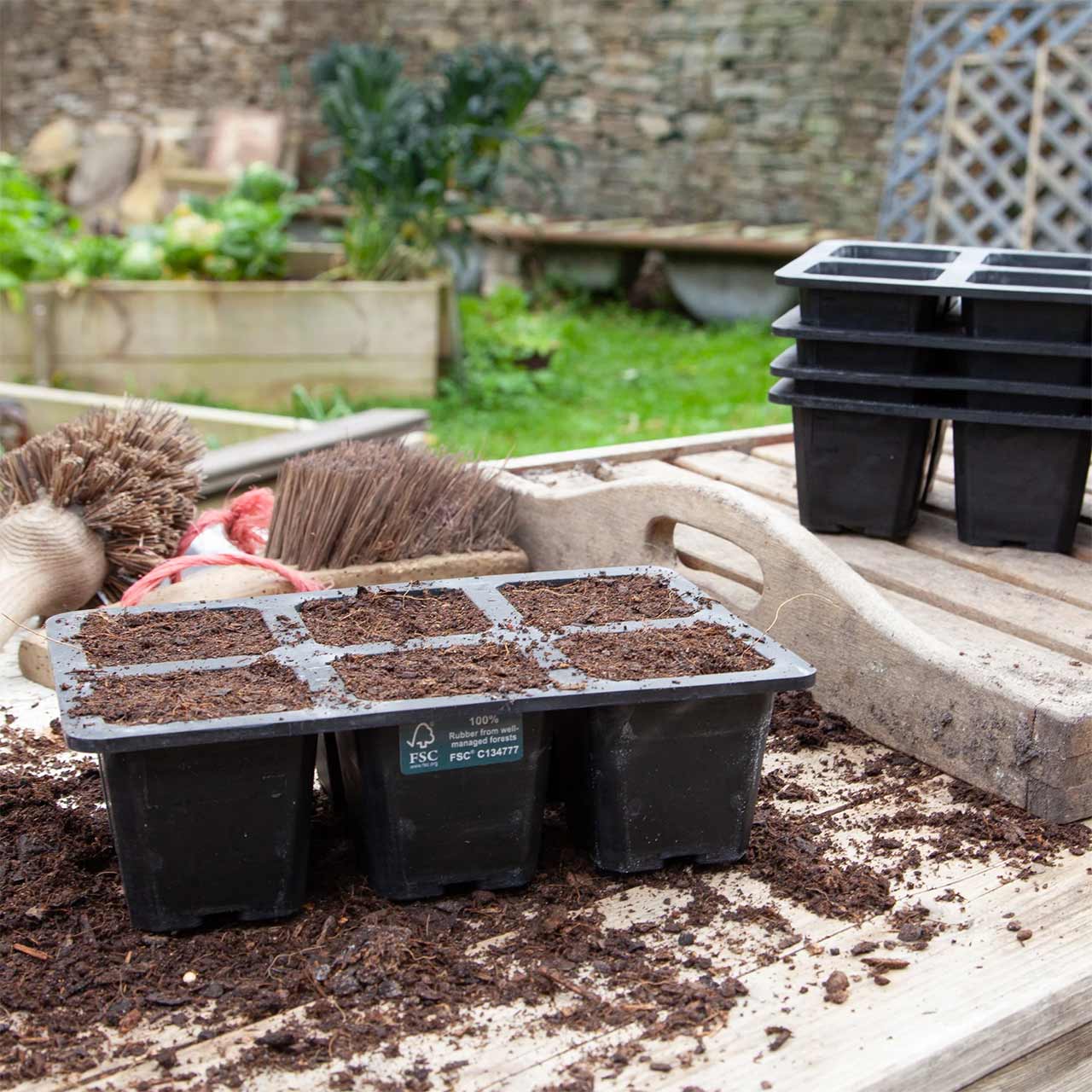 Aussaatschale aus Naturkautschuk