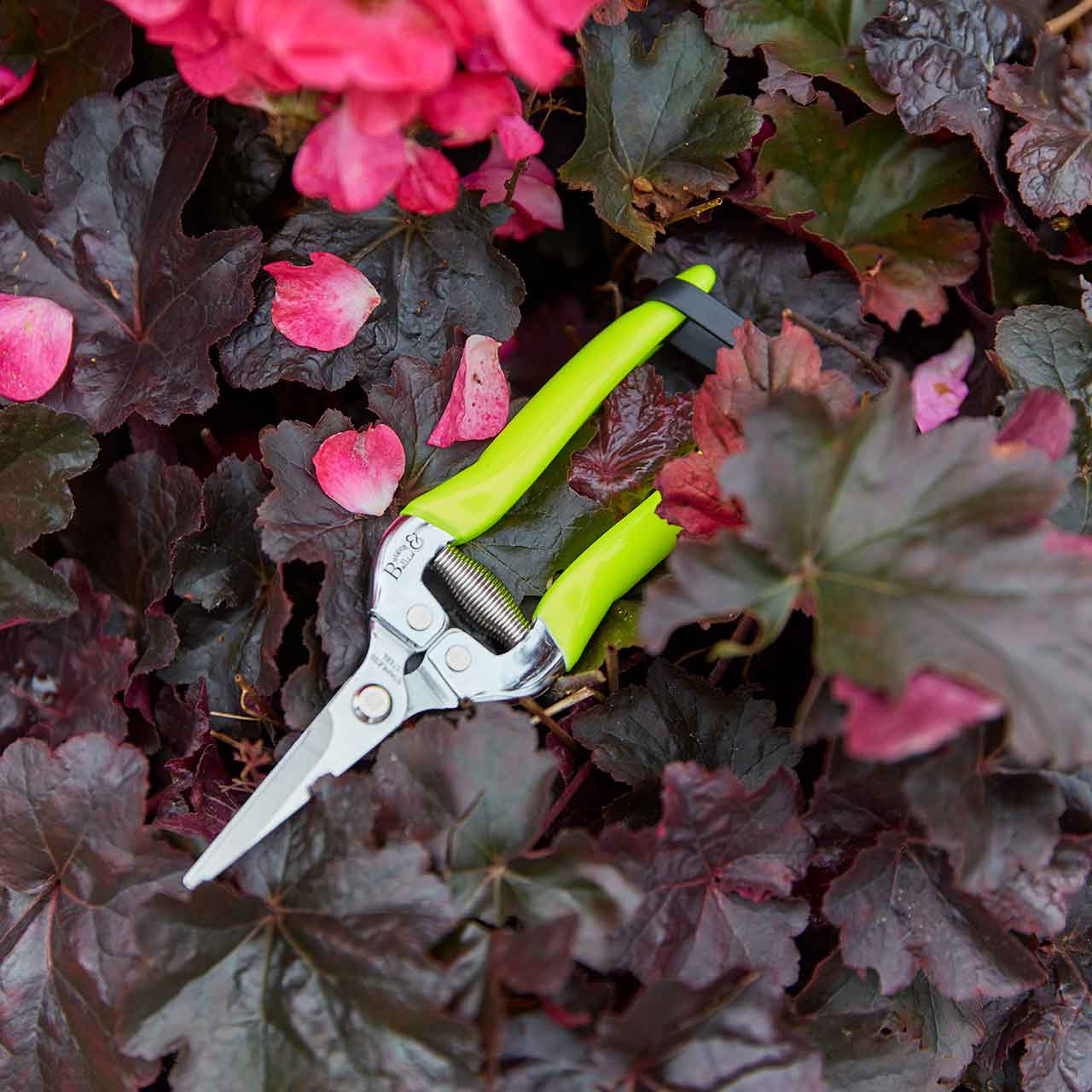 Ernteschere - FloraBrite "Gelb"