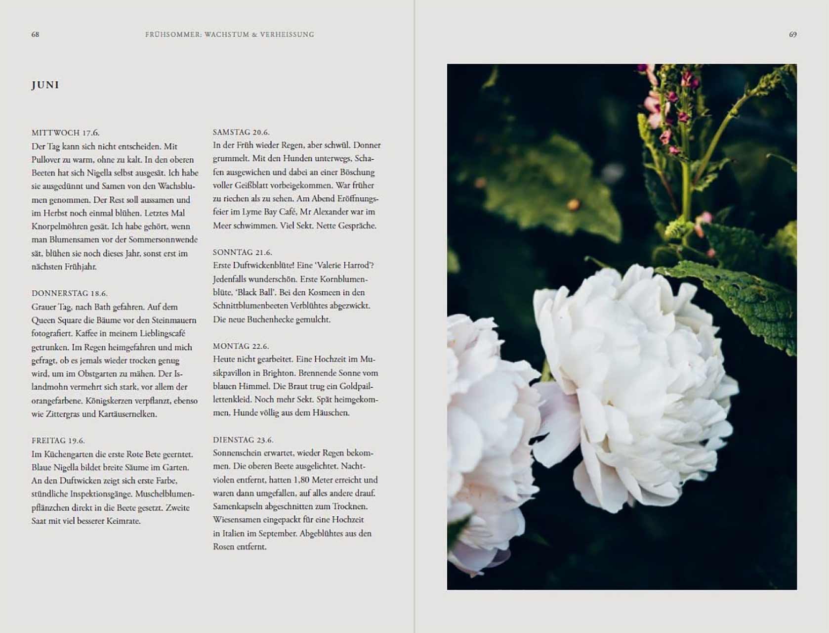 grow & gather Ein Jahr in meinem Schnittblumengarten