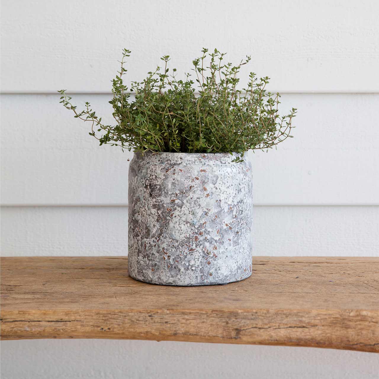 Übertopf »Withington«