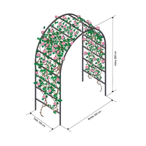 Rosenbogen - Breite 3,0 m
