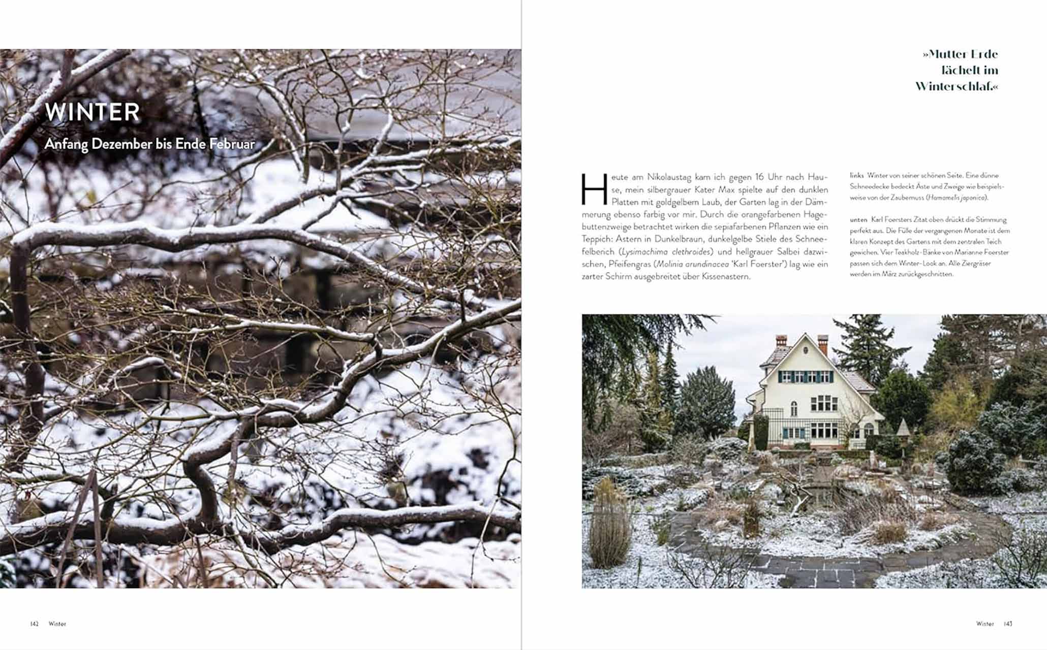 Der Garten meines Vaters Karl Foerster