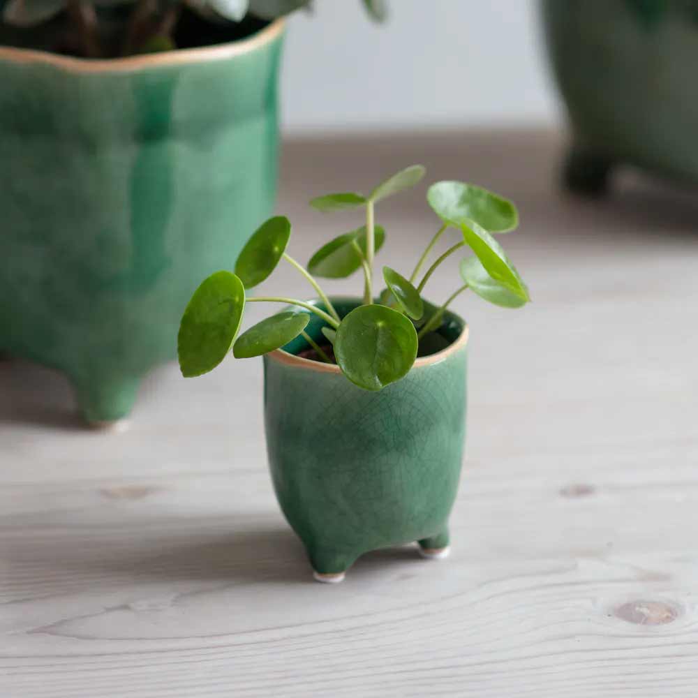 Übertopf Positano Garden Trading