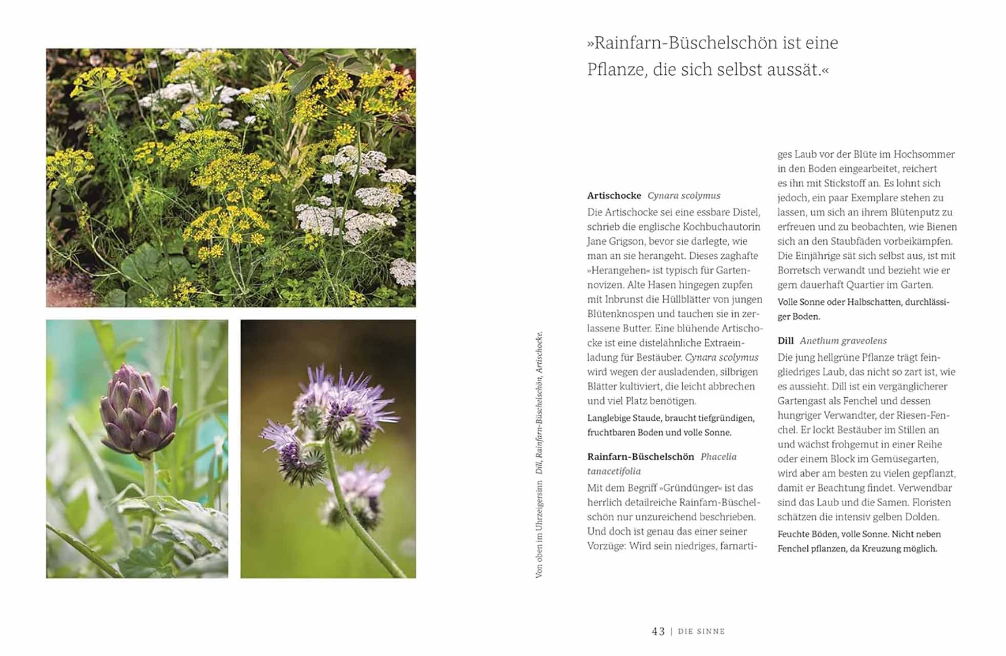 Gärtnern für die Sinne