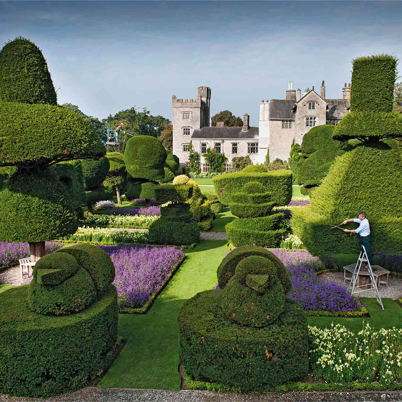 Die Gestaltung der Natur