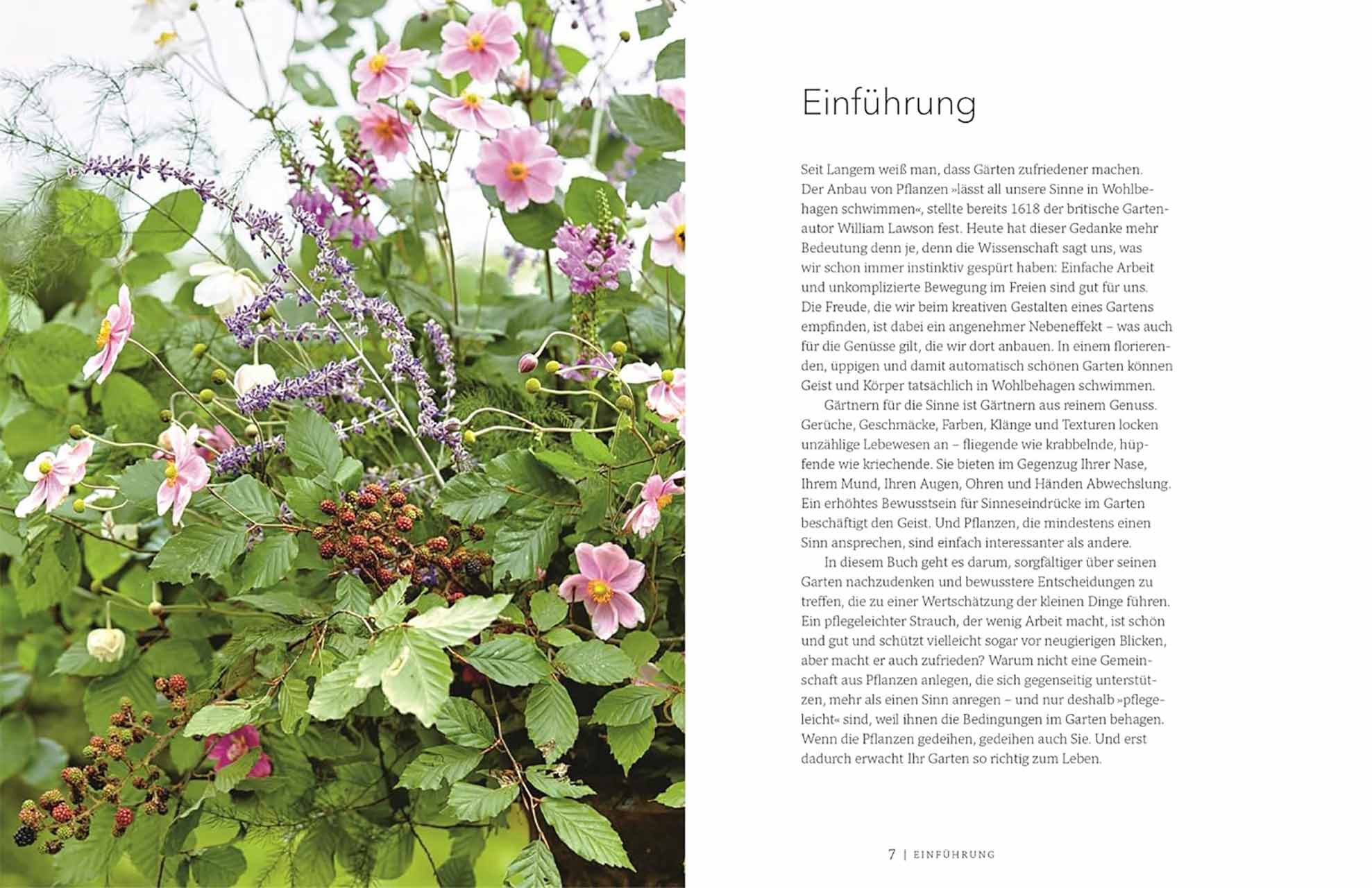 Gärtnern für die Sinne