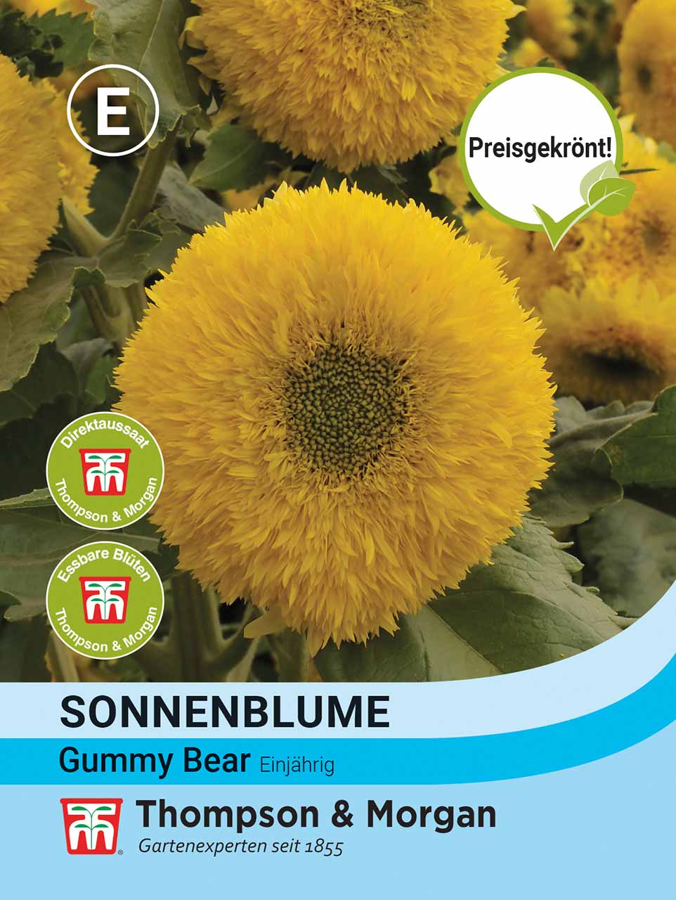 Sonnenblume Gummy Bear