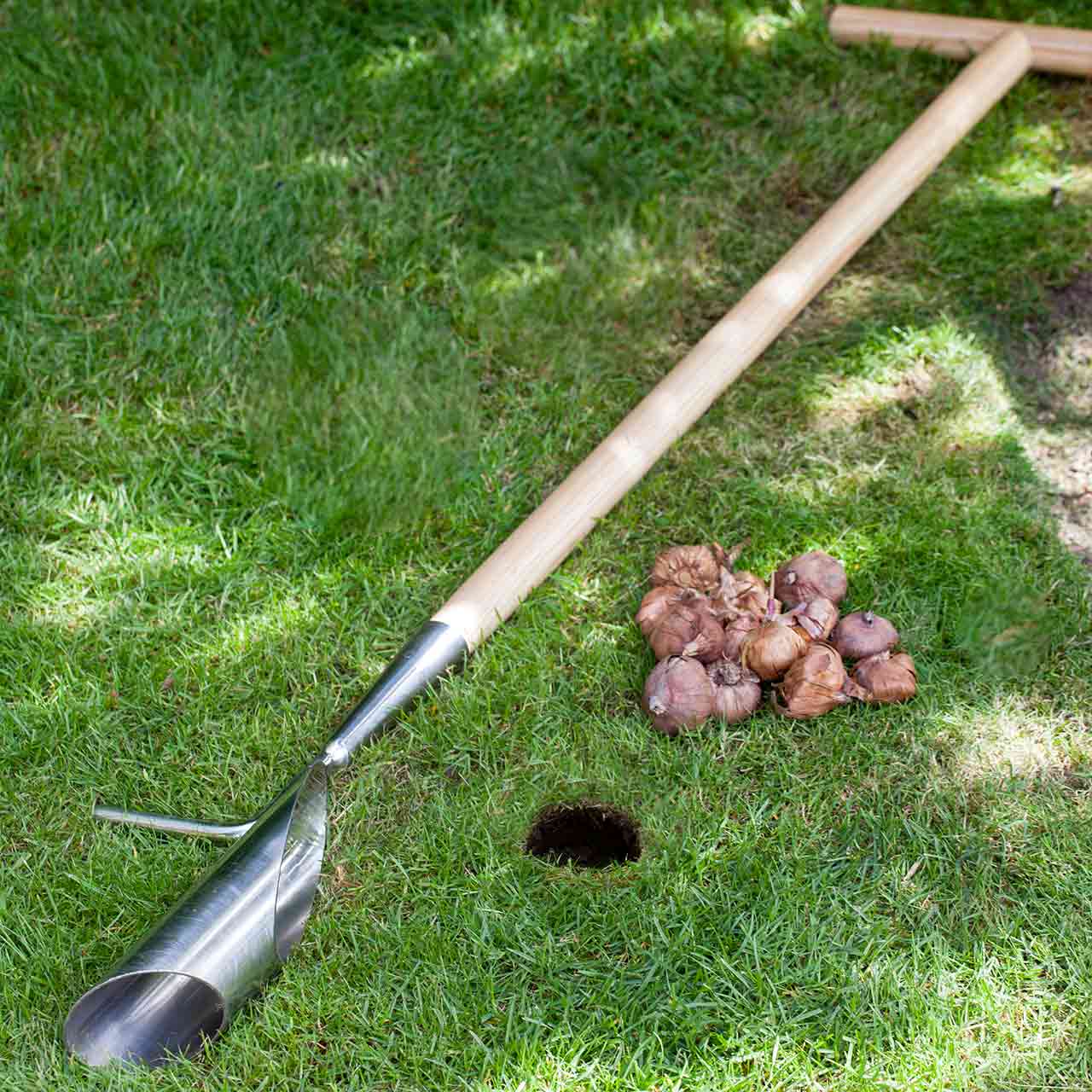 Blumenzwiebelpflanzer - lang