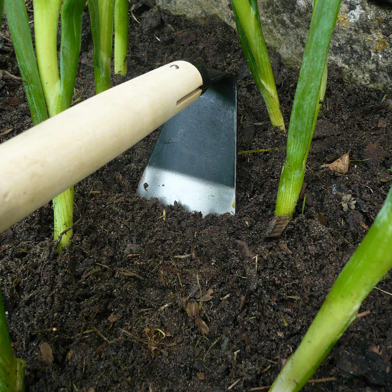 Handhacke für den Gemüsegarten