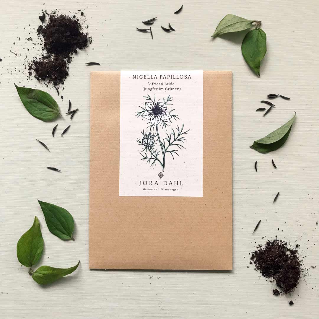 Blumensamen African Bride