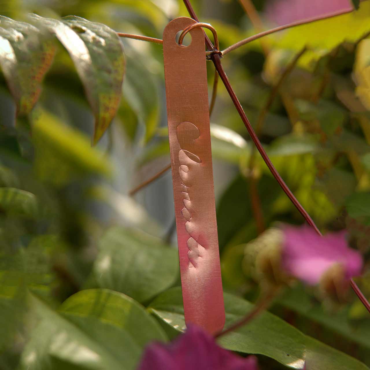 Pflanzenetiketten aus Kupfer