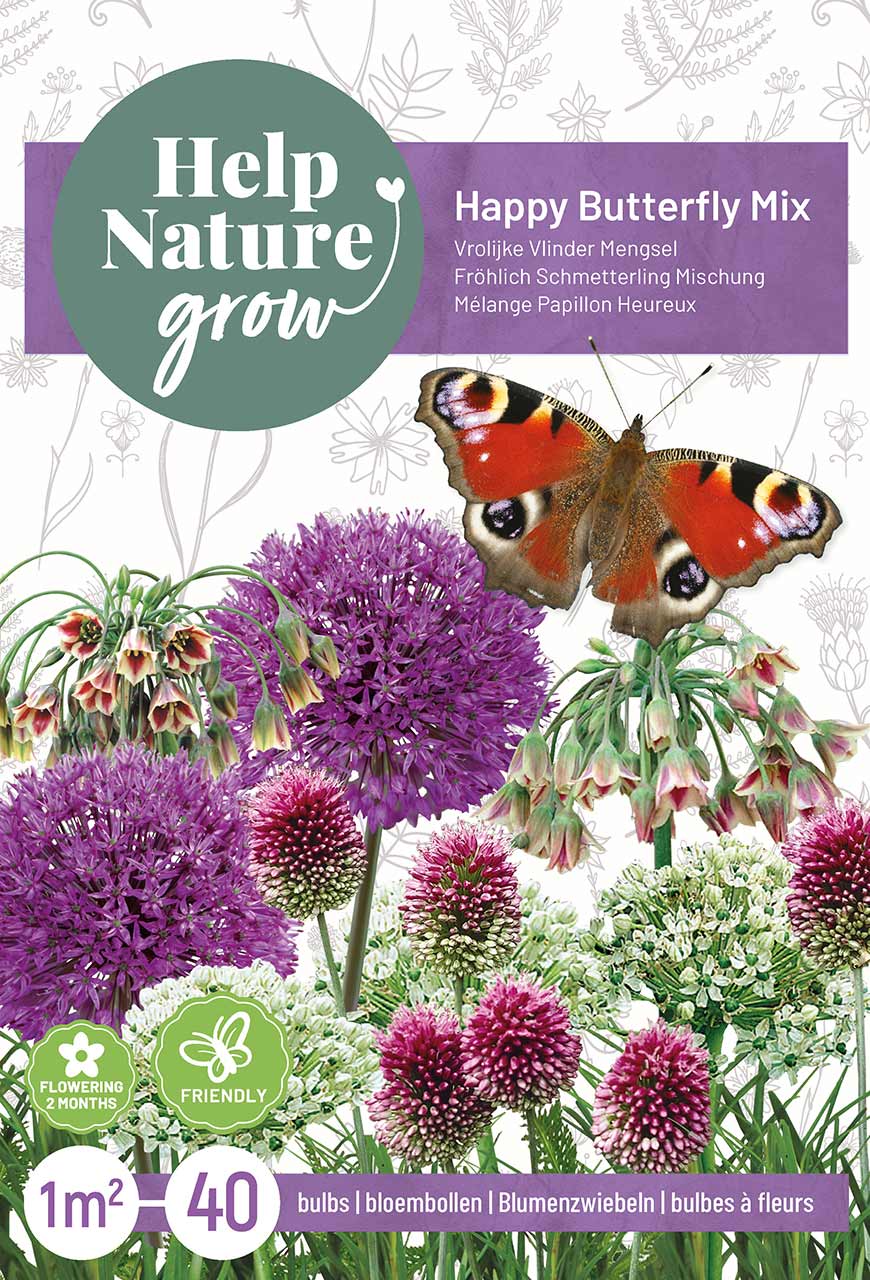 Zierlauch Mix Happy Butterfly