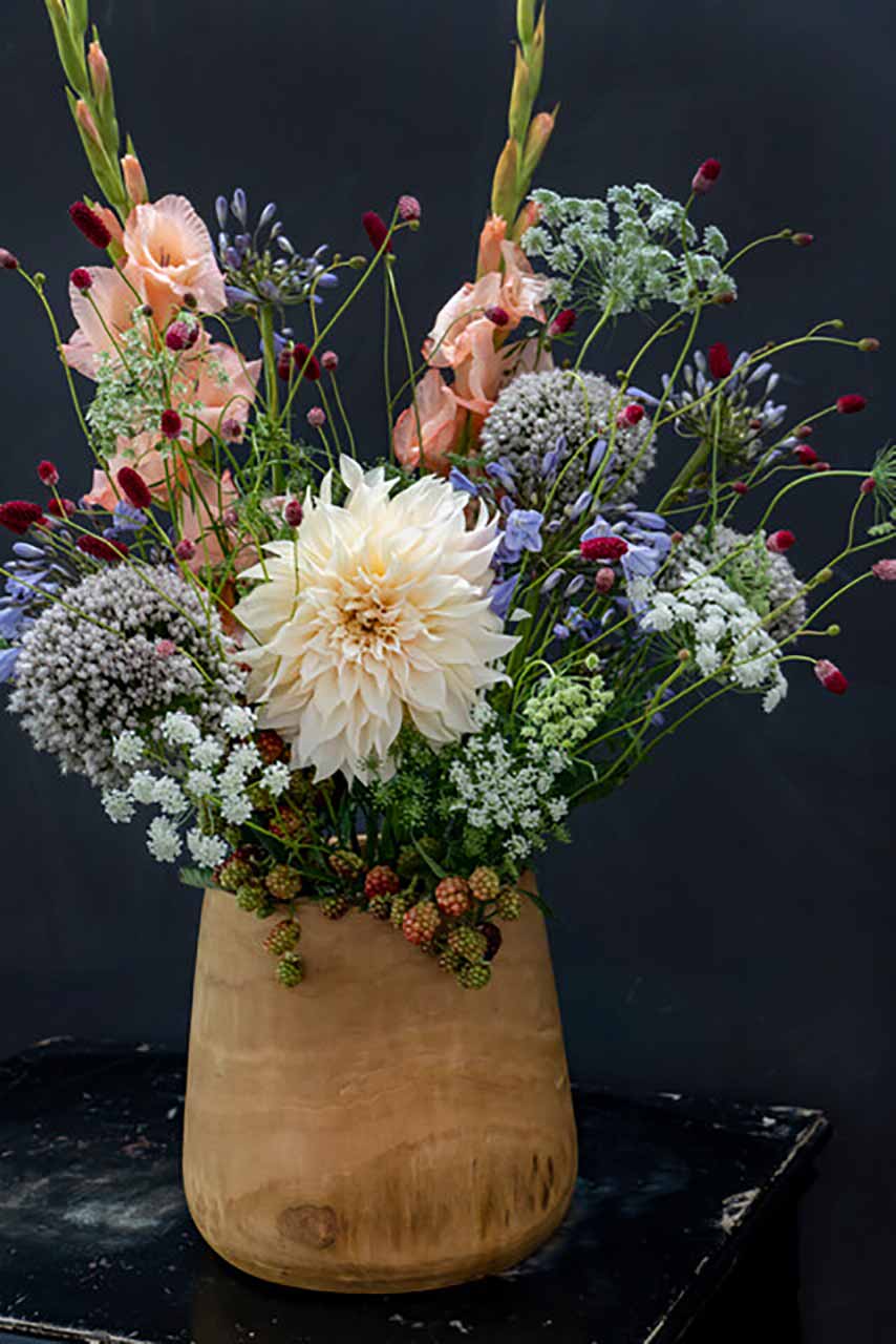 Dahlie Café au Lait