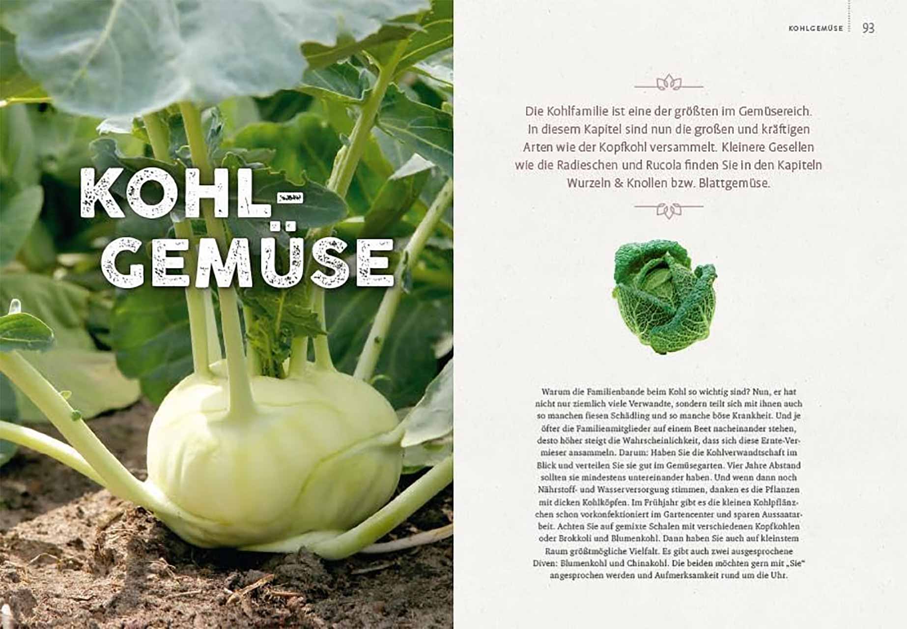 Gemüse Garten - Einfach machen!