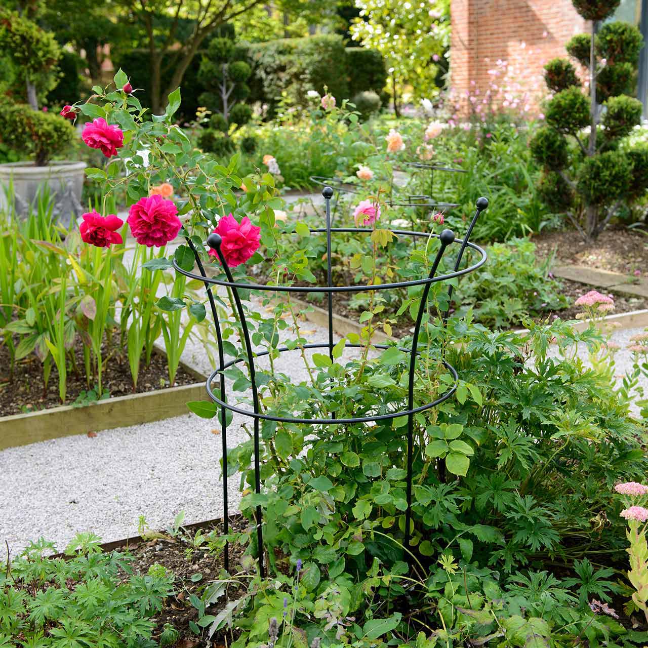 Staudenhalter rund Rosen