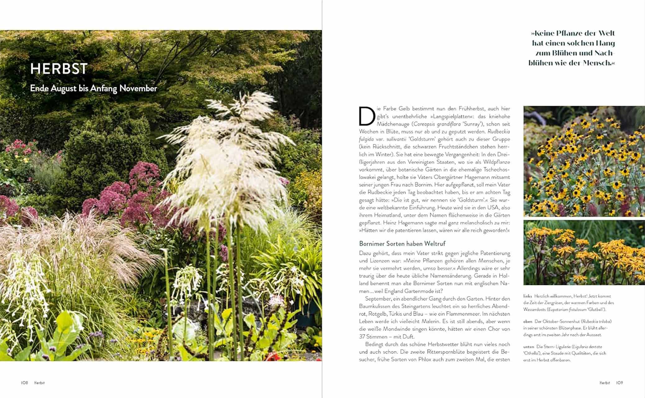 Der Garten meines Vaters Karl Foerster