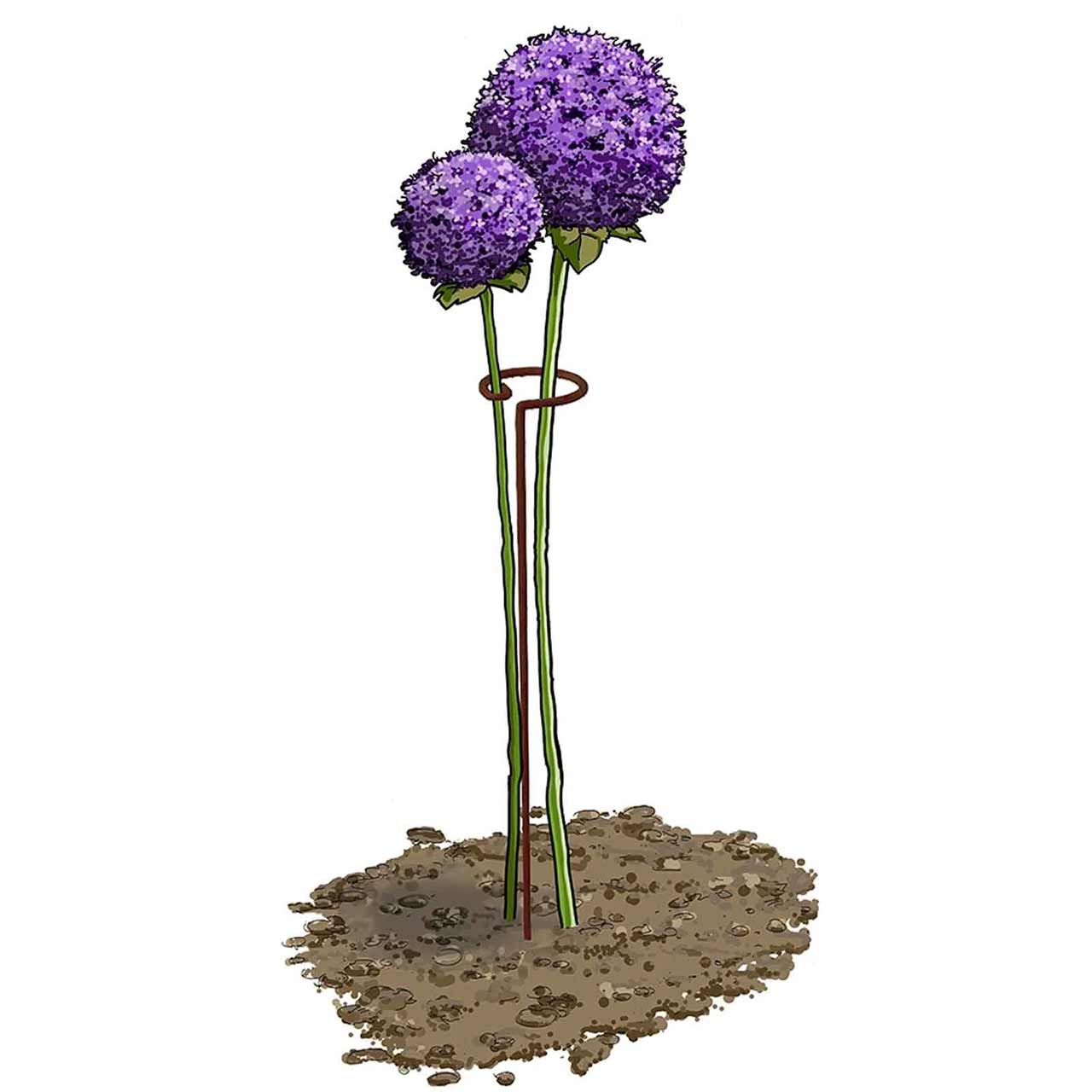 Pflanzenstütze Single Stem