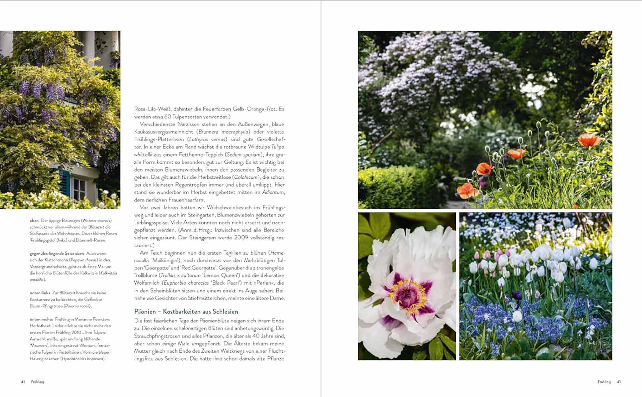 Der Garten meines Vaters Karl Foerster